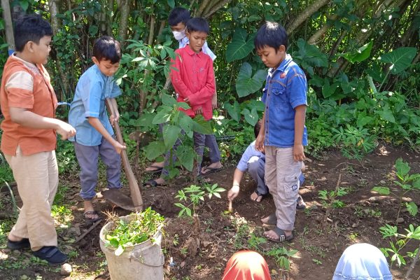 1. Berkebun