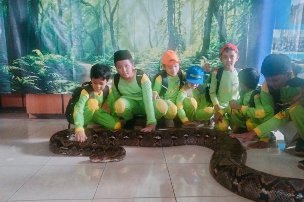 4. Bersahabat dengan hewan