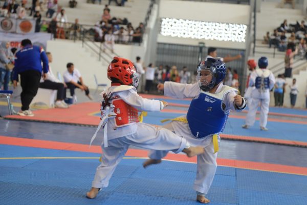 taekwondo taekwondo