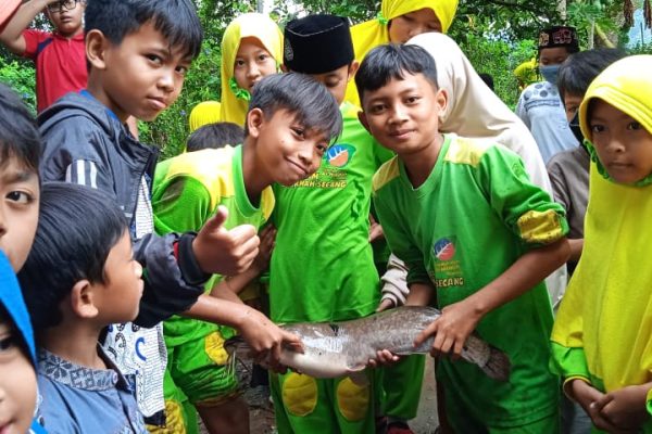 Panen Lele (1)